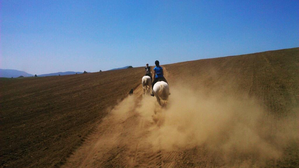 ホテル Ranch Terra イリノヴァク エクステリア 写真
