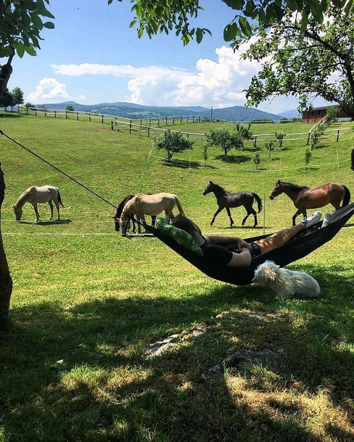 ホテル Ranch Terra イリノヴァク エクステリア 写真