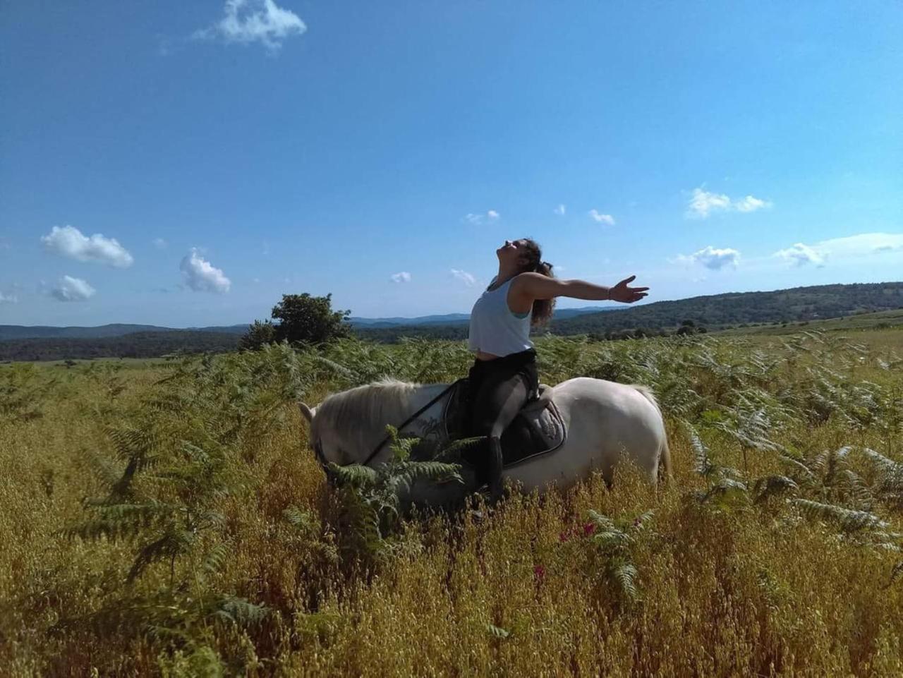 ホテル Ranch Terra イリノヴァク エクステリア 写真