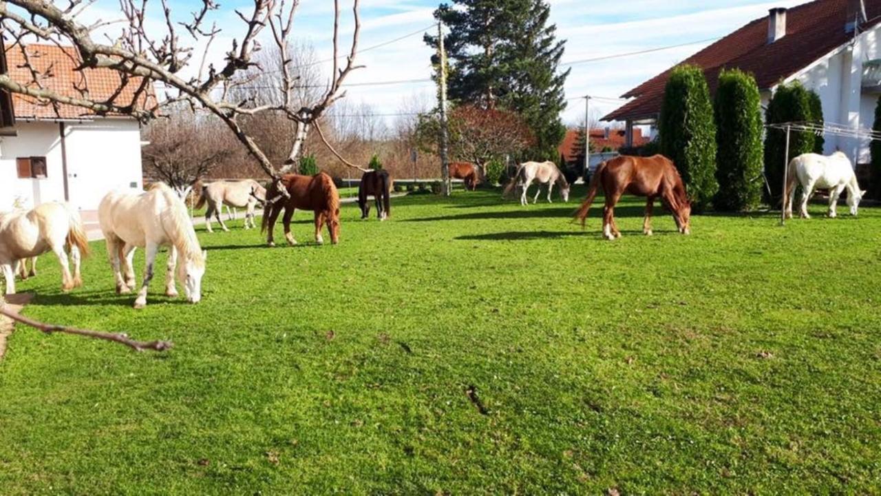ホテル Ranch Terra イリノヴァク エクステリア 写真