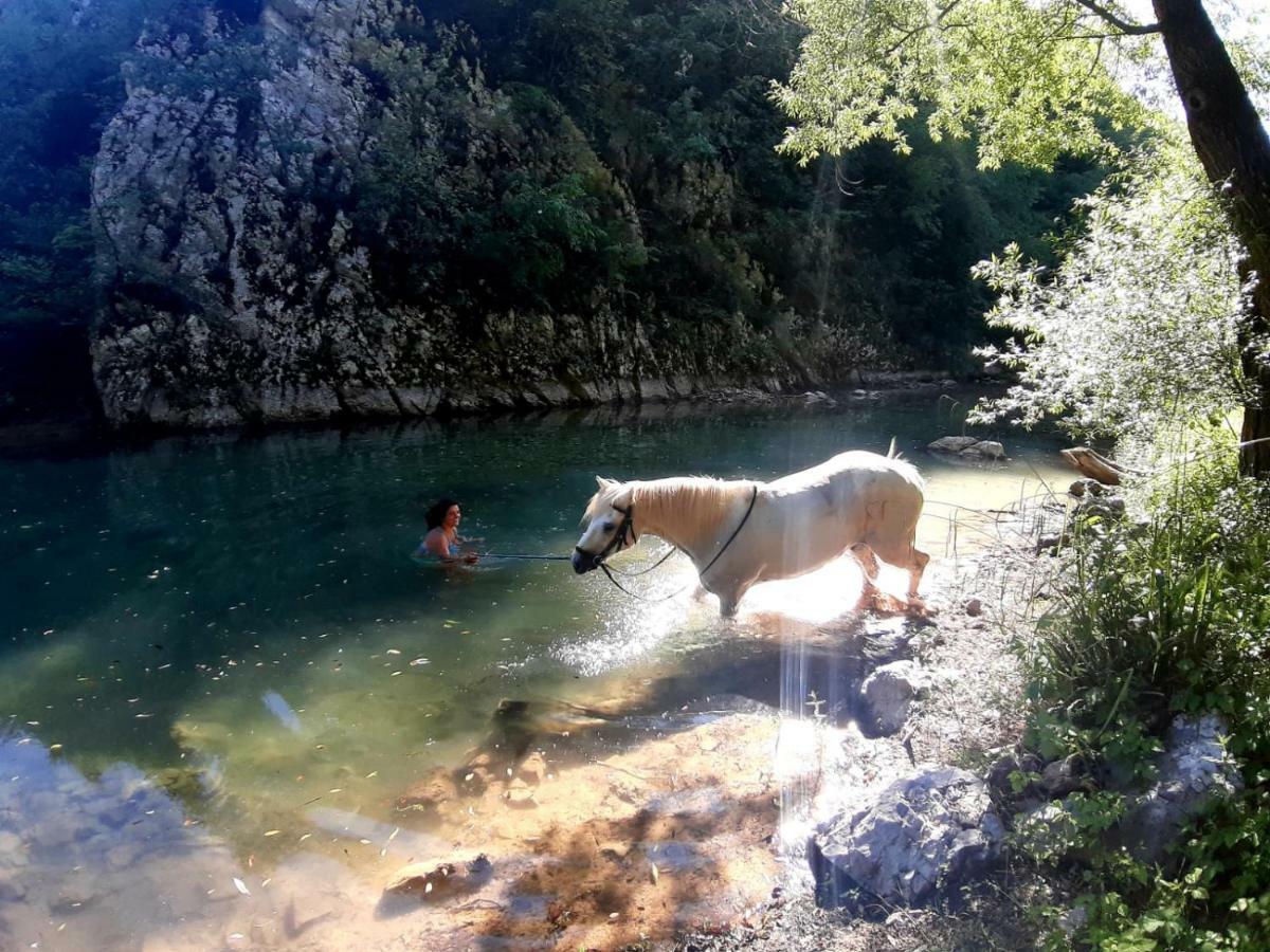 ホテル Ranch Terra イリノヴァク エクステリア 写真